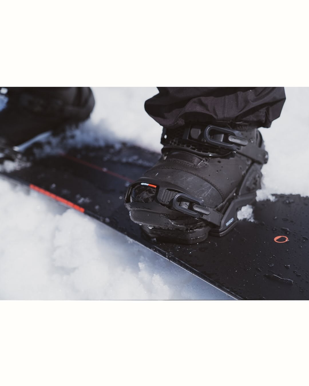 Season Nexus Snowboard