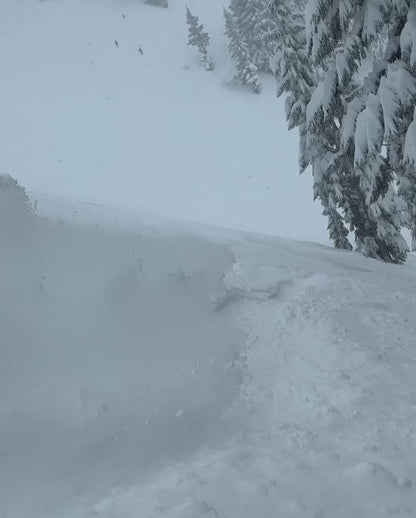 Season Nexus Snowboard